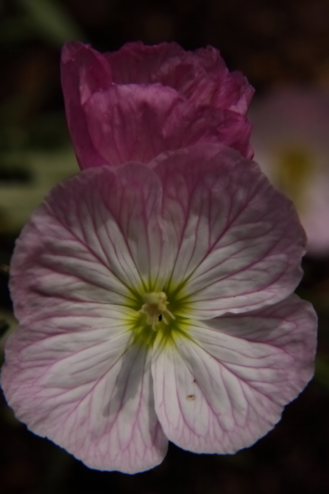2011 05 13 IMG 31459